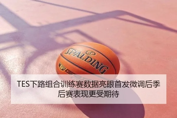 TES下路组合训练赛数据亮眼首发微调后季后赛表现更受期待